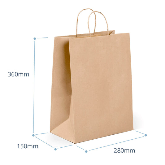 Heavy Duty Medium paper Bags with Twist Handle (packed 10)