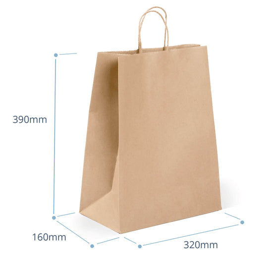 Heavy Duty Large paper Bags with Twist Handle (packed 10)